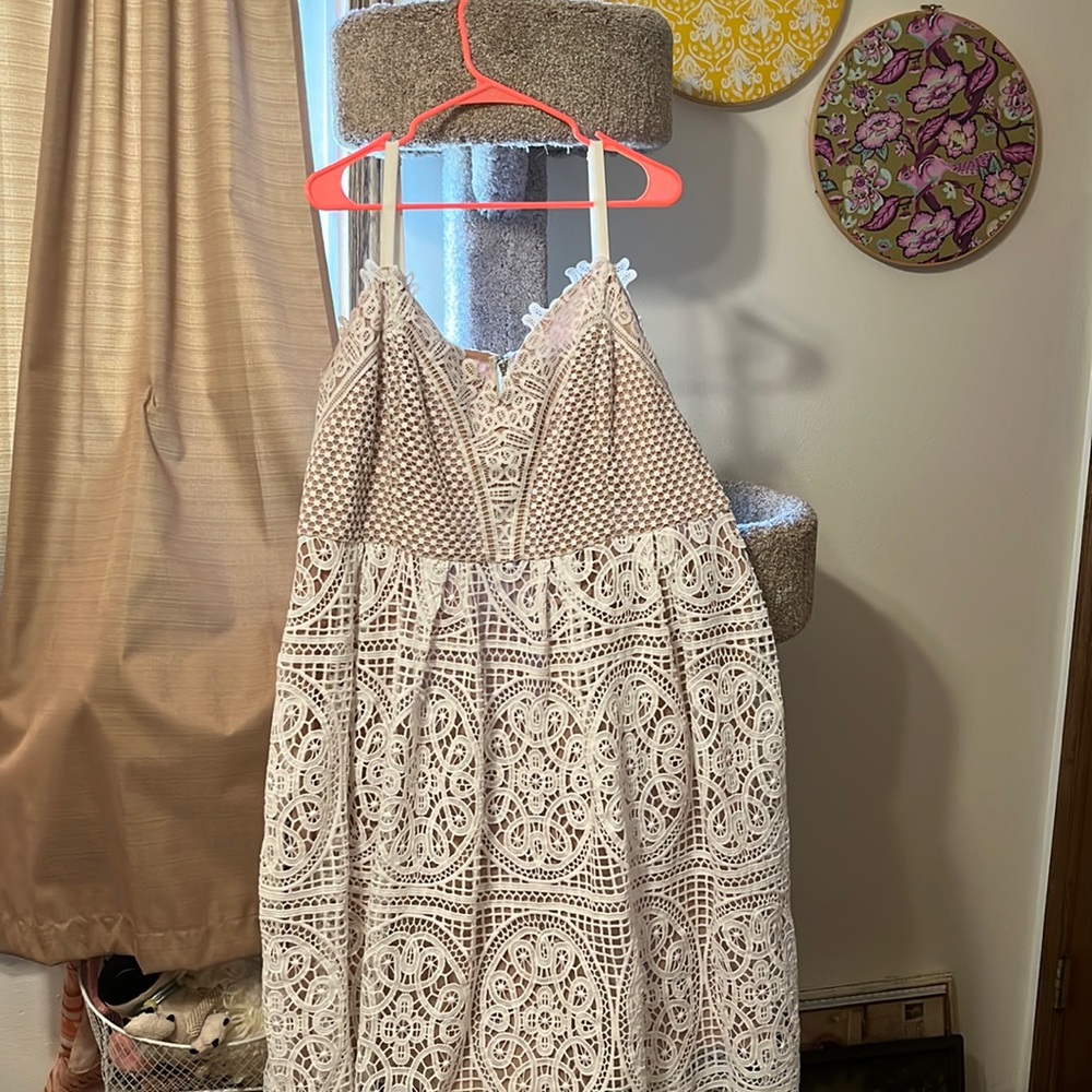 City Chic Fancy Free in Ivory size M/18(plus size)